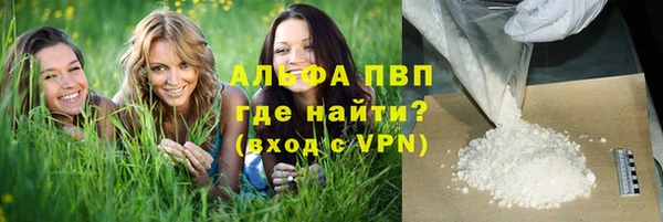 крисы Белоозёрский