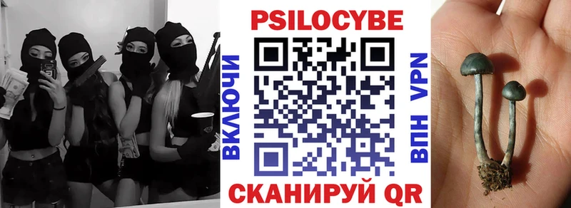 ссылка на мегу как войти  Горячеводский  Псилоцибиновые грибы ЛСД 